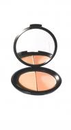 Comprar Polvo Compacto