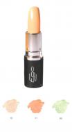 Comprar Corrector Barra
