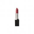 Comprar BARRA LABIOS VELVETY Nº 404 NUDE PALOROSE