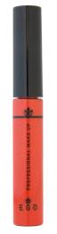Lip Gloss Orange Juice nº 88